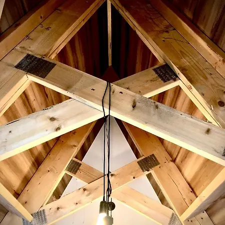 Bosarosa - Nad Zalewem