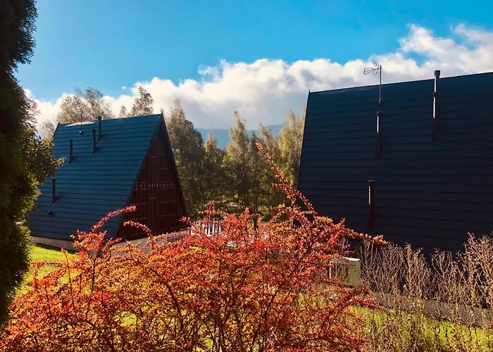 Bosarosa - Nad Zalewem * Radkow