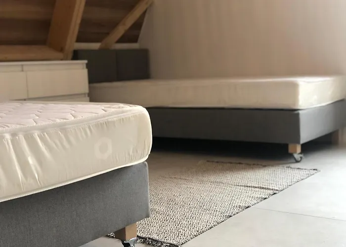 Apartment Bosarosa - Nad Zalewem *