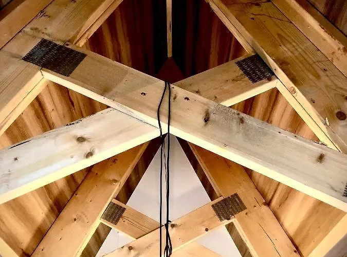 Bosarosa - Nad Zalewem